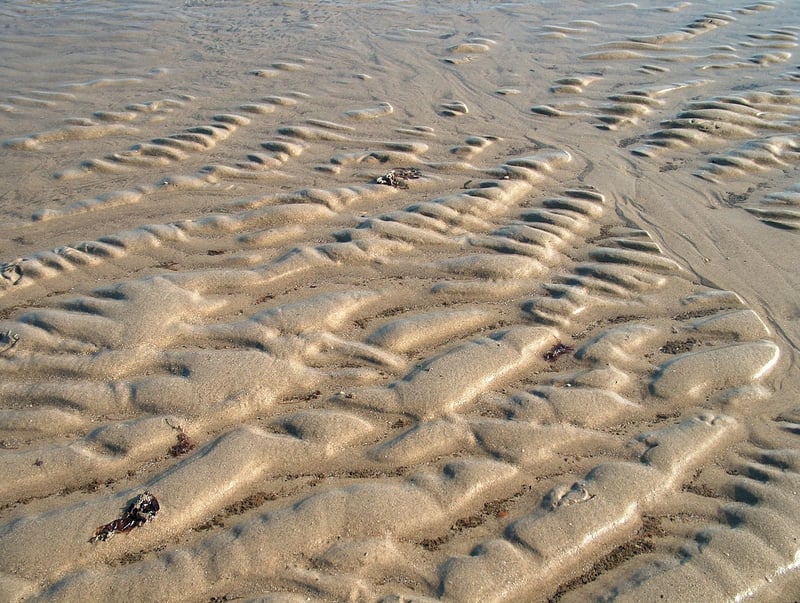 FitFocusPro Location in Los Angeles